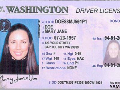 Washington State Driver License Templates Free gooddatingp
